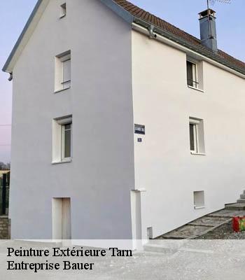 peinture-exterieure