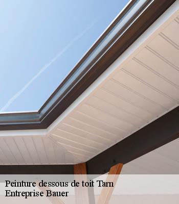 peinture-dessous-de-toit