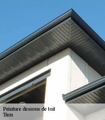 peinture-dessous-de-toit