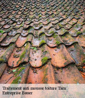 traitement-anti-mousse-toiture