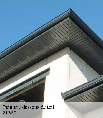 peinture-dessous-de-toit