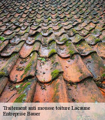 traitement-anti-mousse-toiture