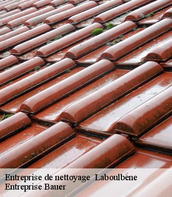 entreprise-de-nettoyage