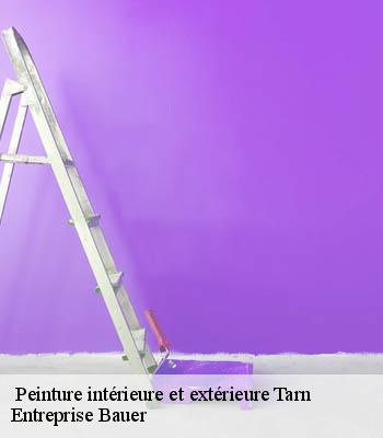 peinture-interieure-et-exterieure