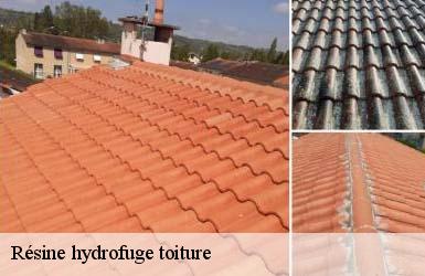 resine-hydrofuge-toiture