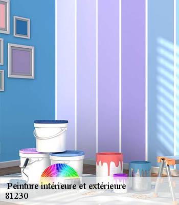 peinture-interieure-et-exterieure